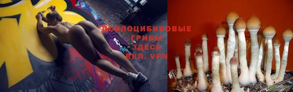трава Алексеевка